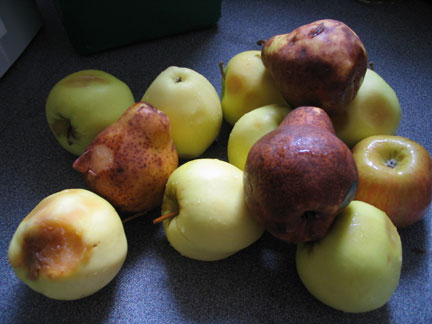 bustedfruits.jpg
